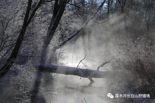 我该怎么停下来